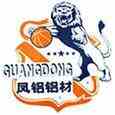 广东凤铝