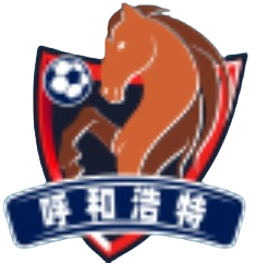 呼和浩特队